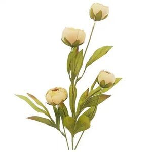 VIRAL SOLD OUT Michaels Stores Tan Peony Stem by Ashland®.NWT (7) Stems